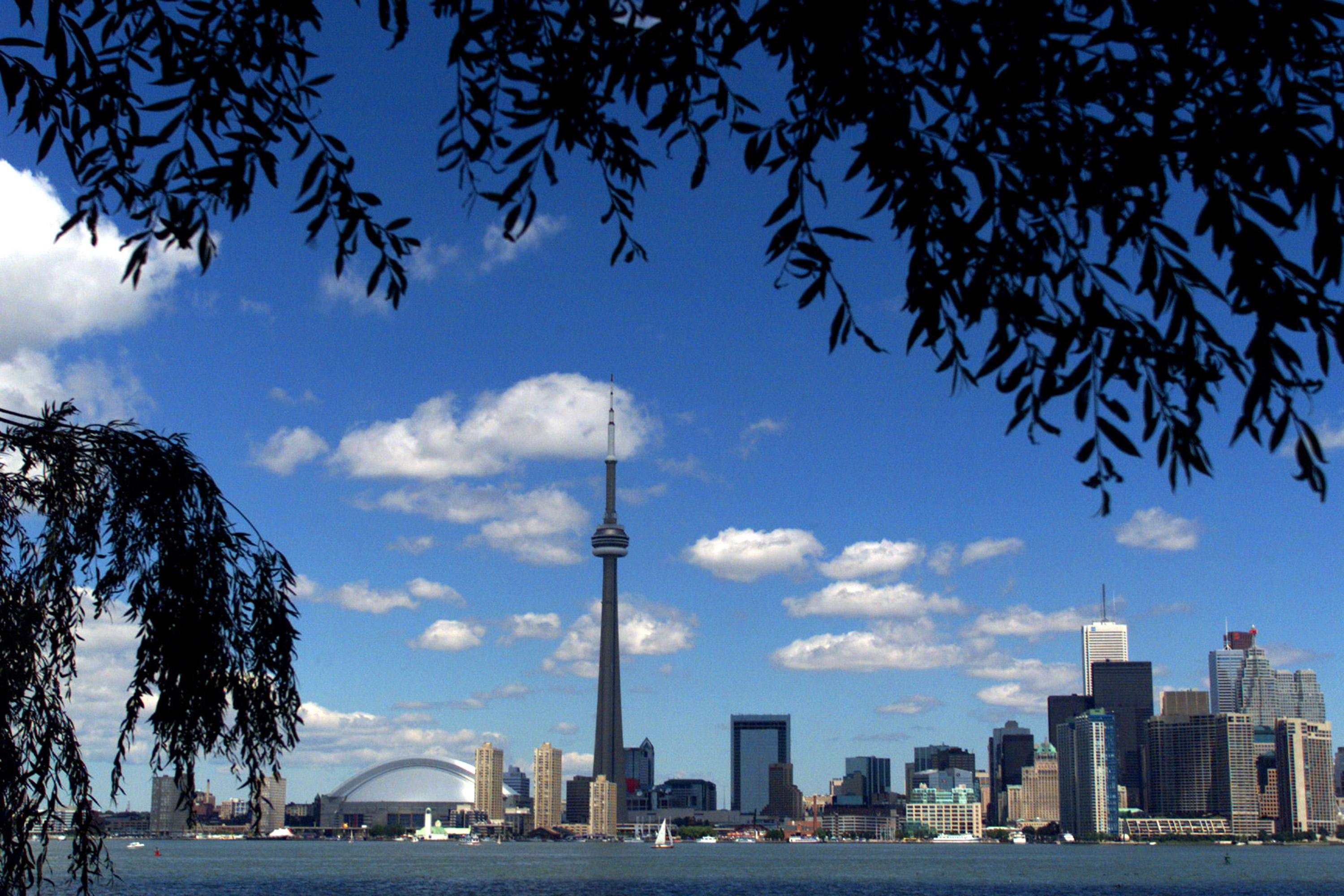 A view of the skyline of Toronto featuring tall buildings and the CN Tower.