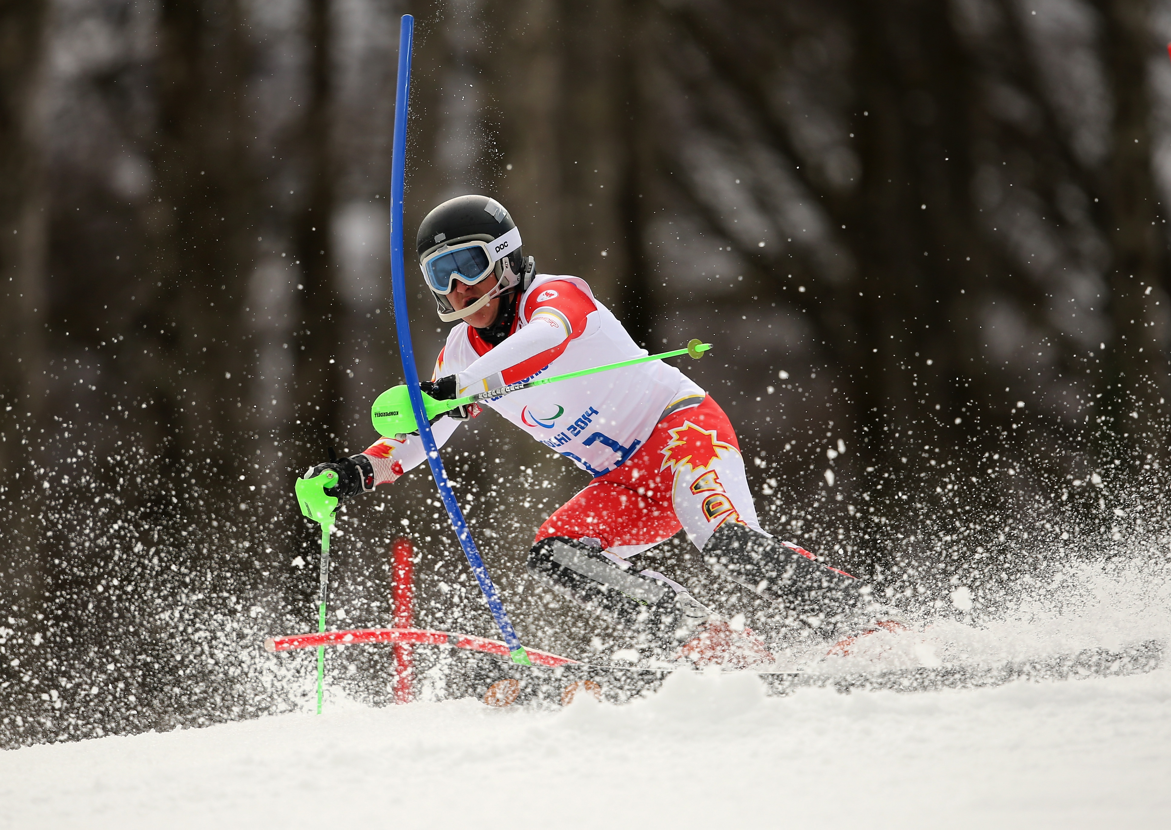 a male Para skier