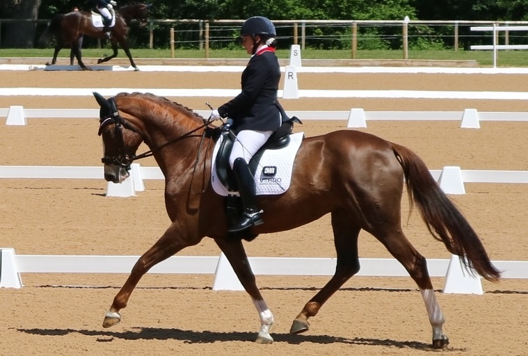 a female Para equestrian rider on a horse