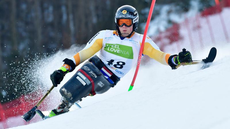 A male sit-skier competing on the snow