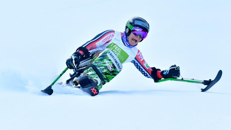 Male sit-skier makes a turn down the slopes