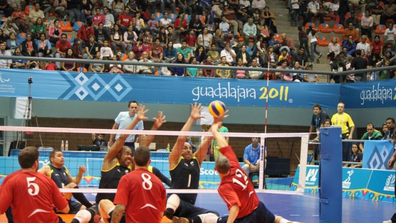 USA Sitting Volleyball Men's Team