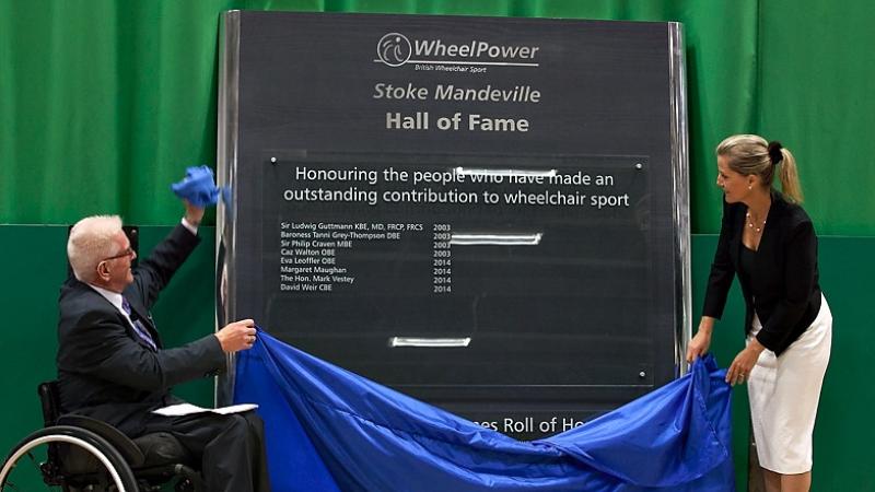 One women and one man in a wheelchair pull a curtain off a wall.