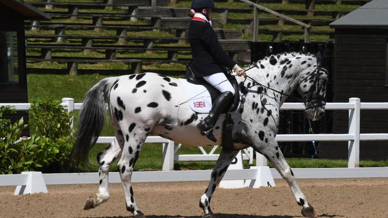 Woman riding on a black and white horse