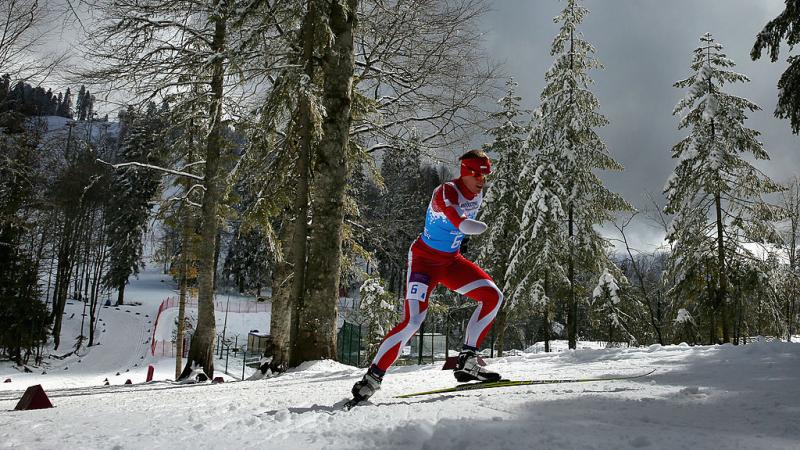 a Para skier moving through the trees