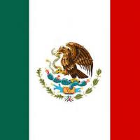 Mexico flag square