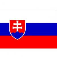 Slovakia flag square