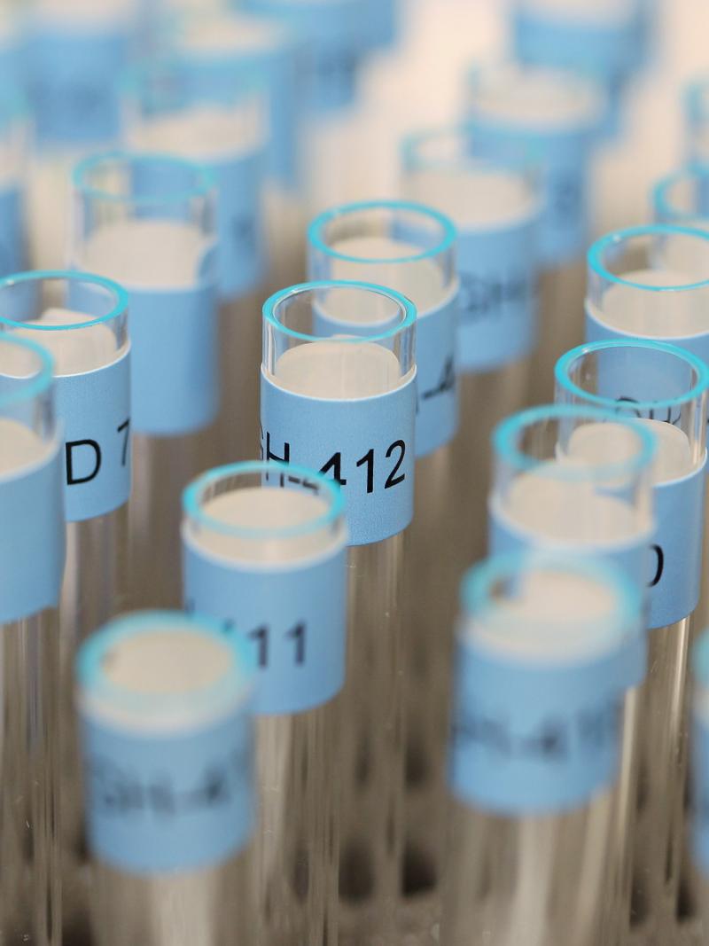 A series of glass sample tubes with blue labels