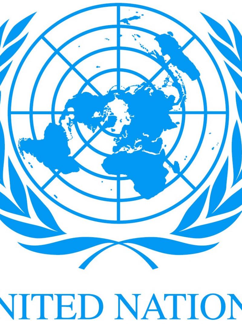 UN logo