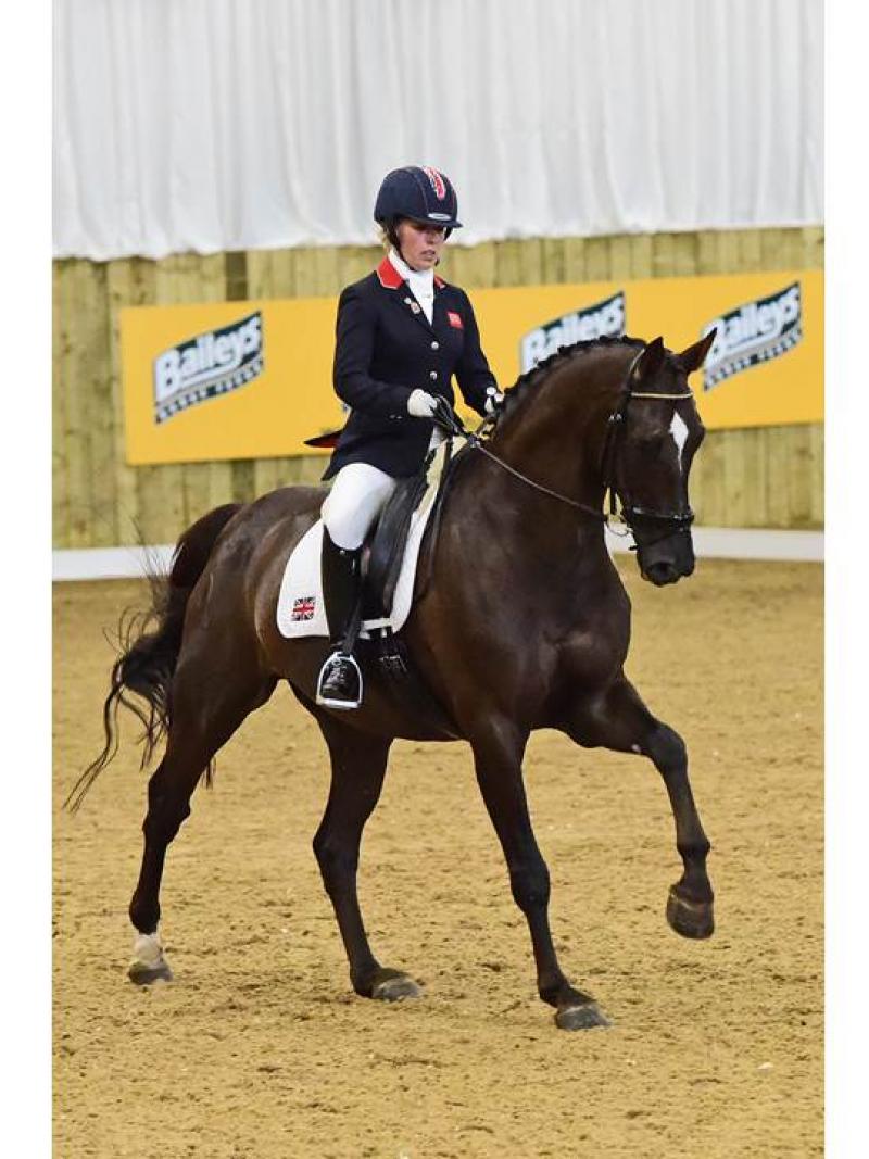 Women on a dark horse doing dressage lessons