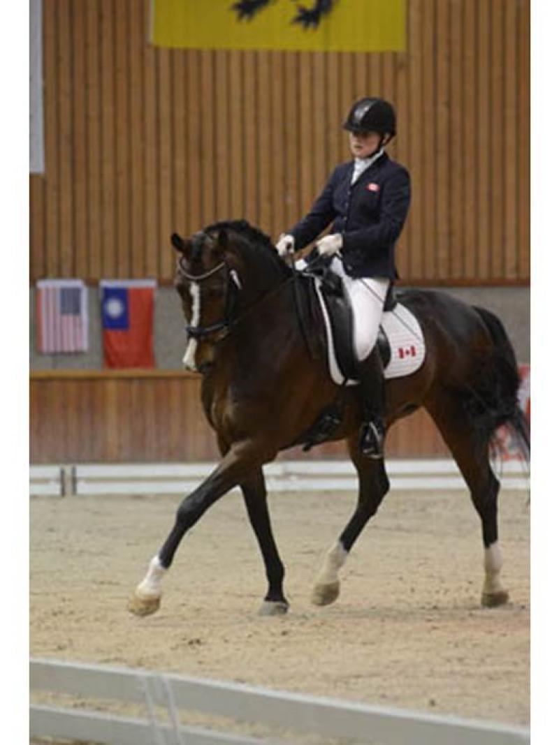 Roberta Sheffield Canada para-equestrian