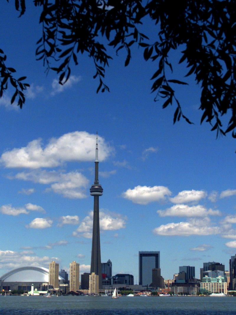 A view of the skyline of Toronto featuring tall buildings and the CN Tower.
