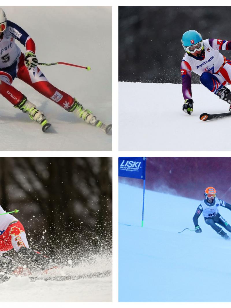 a group of Para skiers