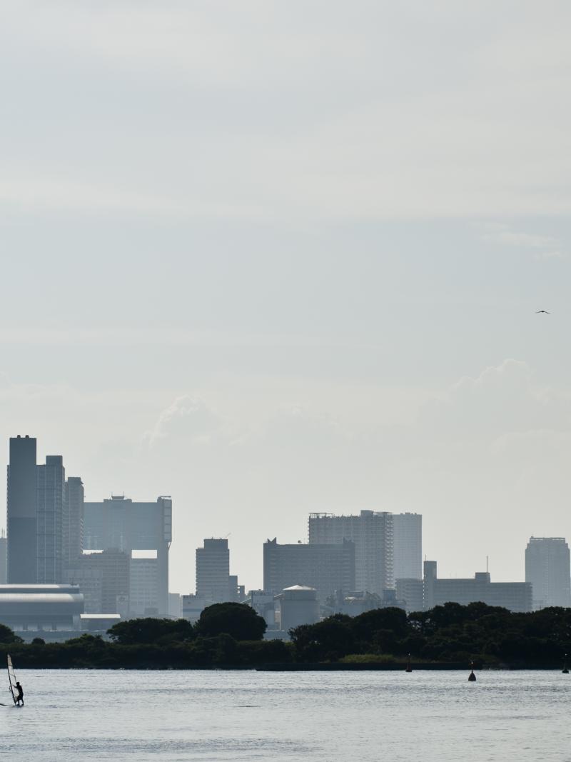Odaiba Marine Park will host the swimming leg of Para triathlon at Tokyo 2020.