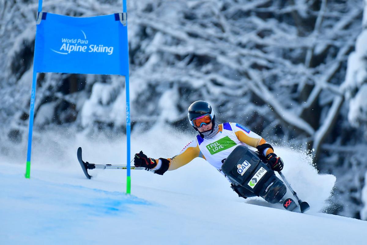 A female sit-skier competing 