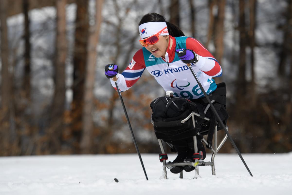 Female Korean sit skier competing