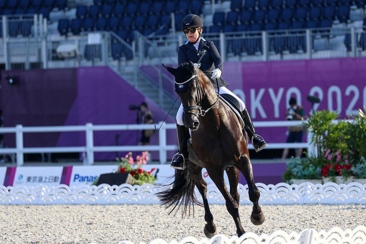 Fusta equitación Equipage Gem Jumping - Otros deportes