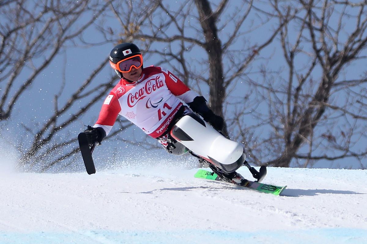 A male Para alpine skier