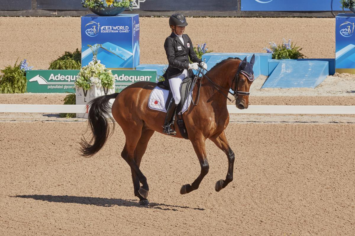 Japanese woman rides a horse as it dances around arena