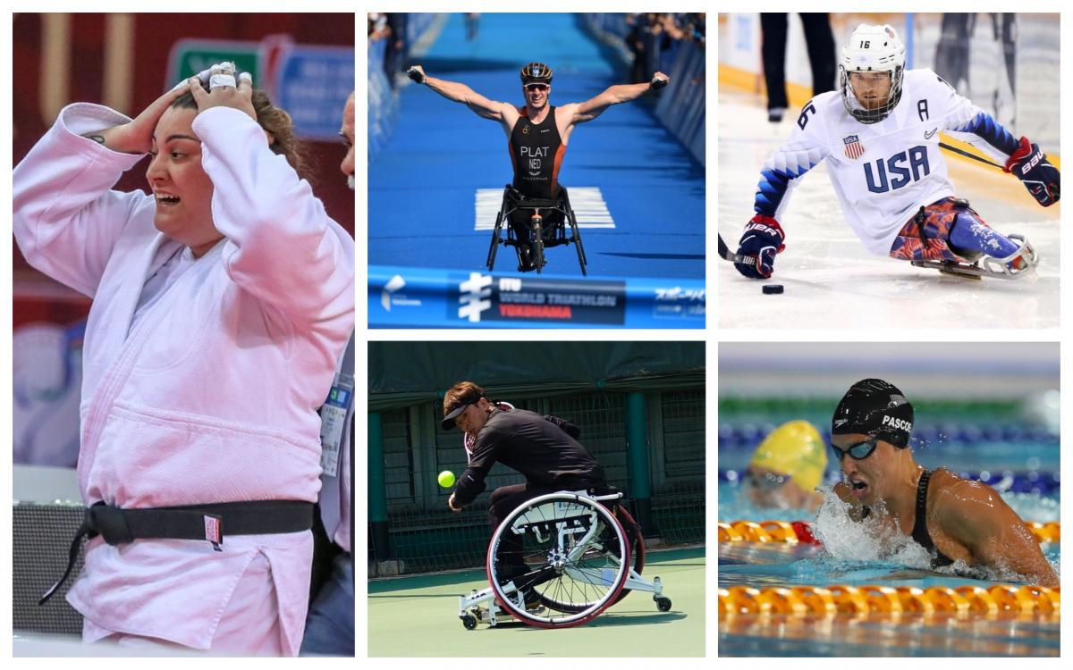 Picture collage of five athletes: swimmer, judoka, wheelchair tennis player, ice hockey player and triathlete